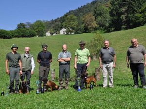 prove cani da caccia