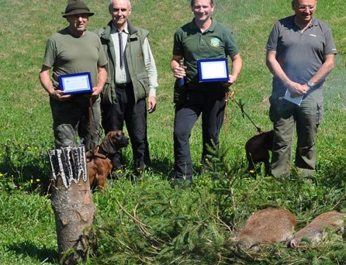 Gara cani da traccia 2016