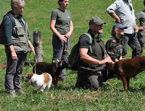 Gara cani da traccia 2017